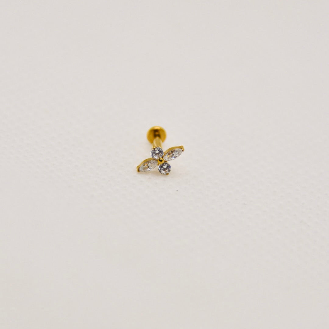 Aster — push-pin fleur marquise, titane doré | tragus, hélix | ÖVA